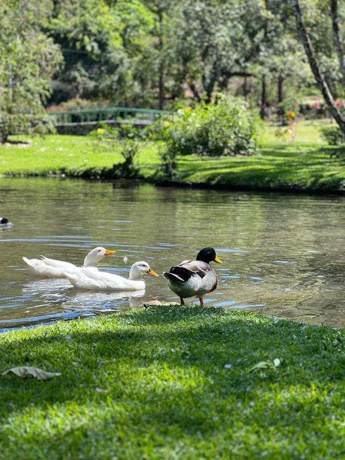 La Casa De Los Patos El Valle de Anton Εξωτερικό φωτογραφία